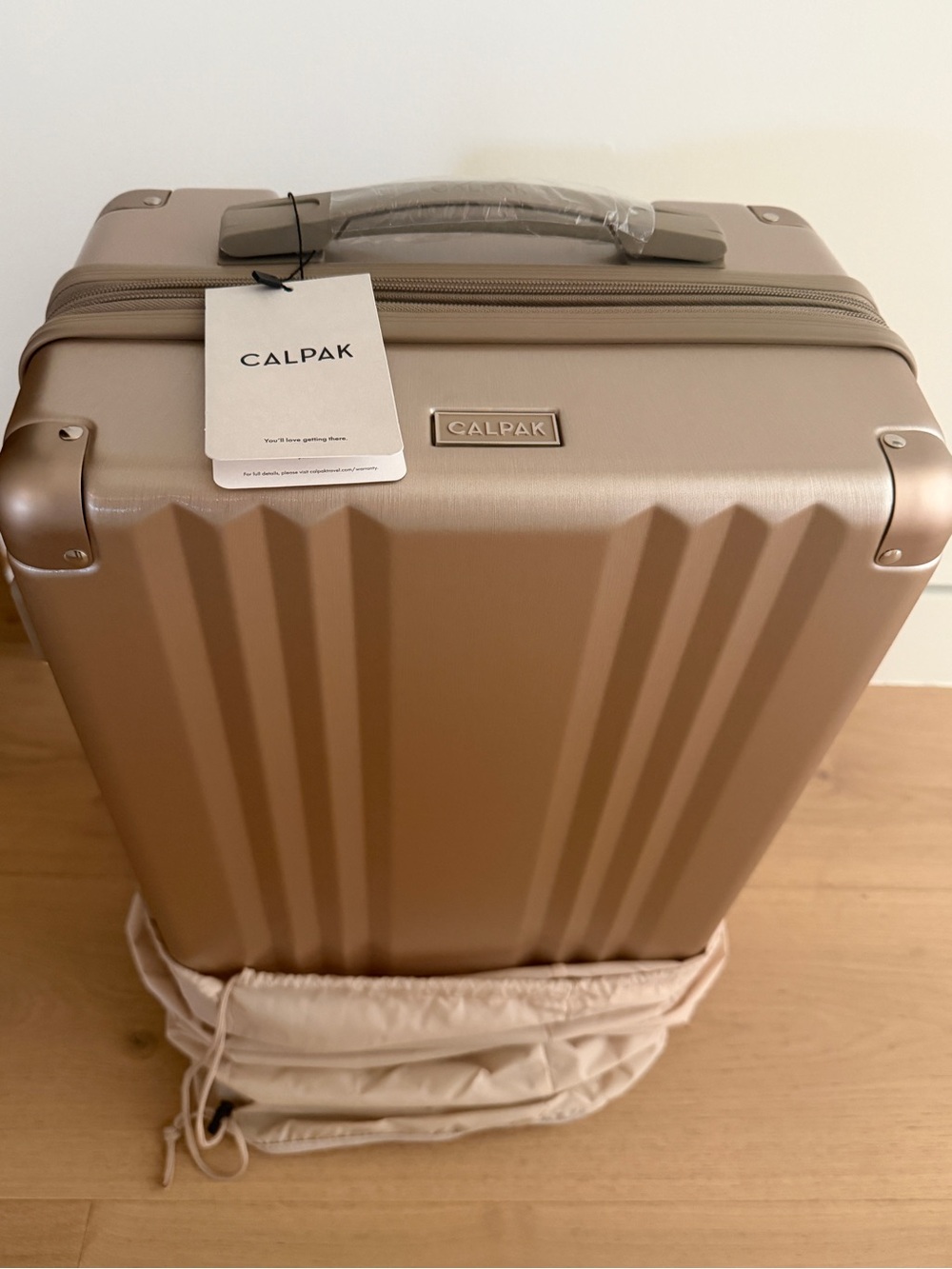 CALPAK Ambeur Carry On Luggage in Gold